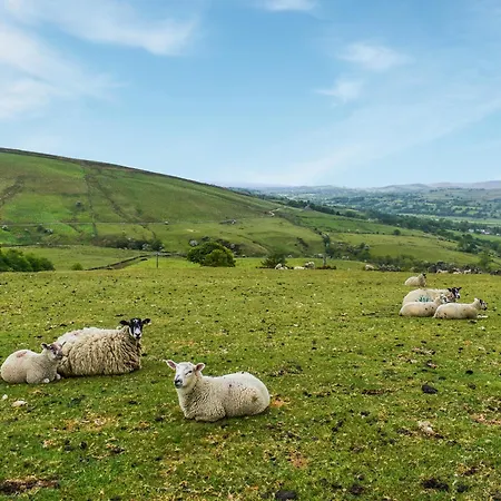 Bracken Hut At Copy House Hideaway